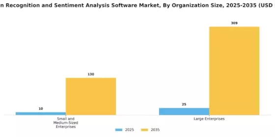 Emotion Recognition and Sentiment Analysis Software Market Segment Image 1