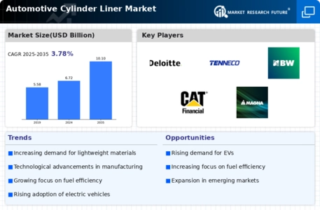 Automotive Cylinder Liner Market Infographic