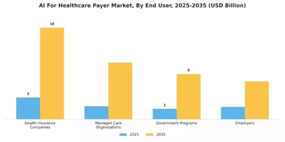 Ai Healthcare Payer Market Segment Image 3