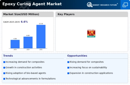 Epoxy Curing Agent Market Infographic