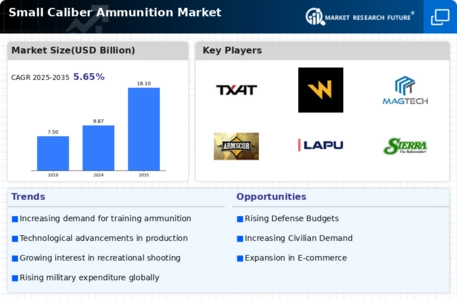 Small Caliber Ammunition Market Infographic