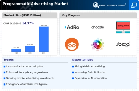 Programmatic Advertising Market Infographic