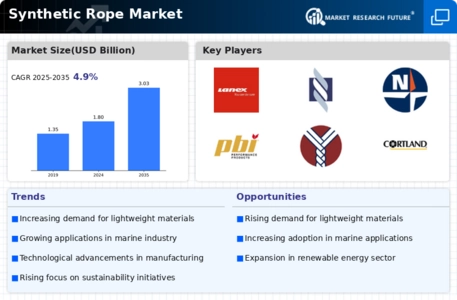 Synthetic Rope Market Infographic