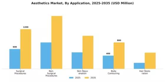 Aesthetics Market Segment Image 0