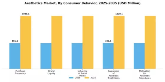 Aesthetics Market Segment Image 1