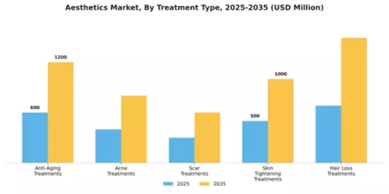 Aesthetics Market Segment Image 4