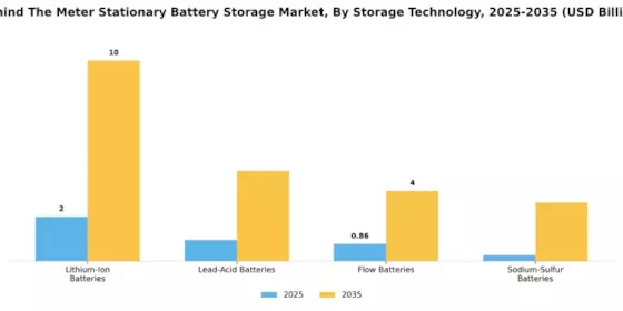 Behind Meter Stationary Battery Storage Market Segment Image 0