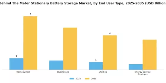 Behind Meter Stationary Battery Storage Market Segment Image 3
