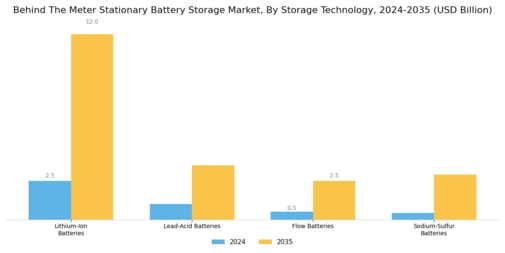 Behind Meter Stationary Battery Storage Market Segment Image 0