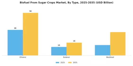Sugar Crops Biofuel Market Segment Image 0