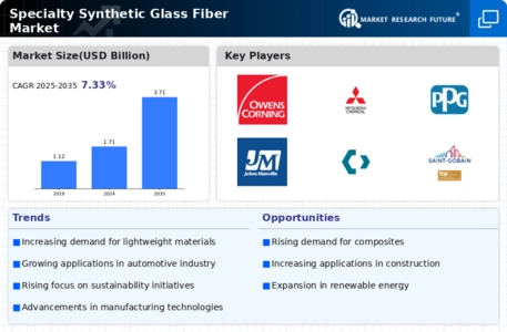 Specialty Synthetic Glass Fiber Market Infographic
