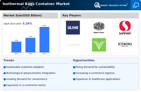 Isothermal Bags Container Market Infographic