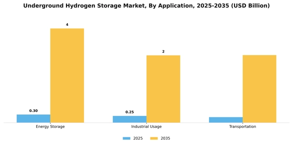 Underground Hydrogen Storage Market Segment Image 0