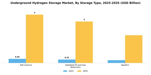Underground Hydrogen Storage Market Segment Image 3