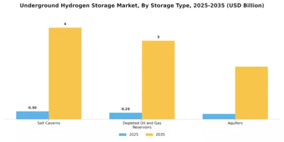 Underground Hydrogen Storage Market Segment Image 0