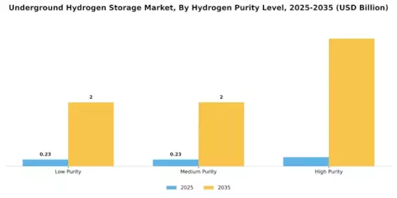 Underground Hydrogen Storage Market Segment Image 2