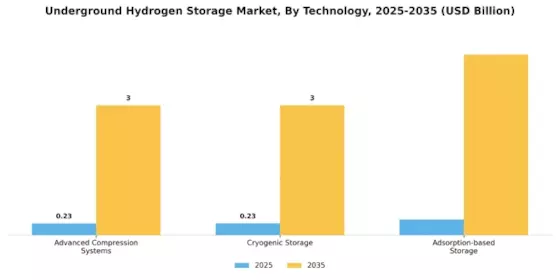 Underground Hydrogen Storage Market Segment Image 4
