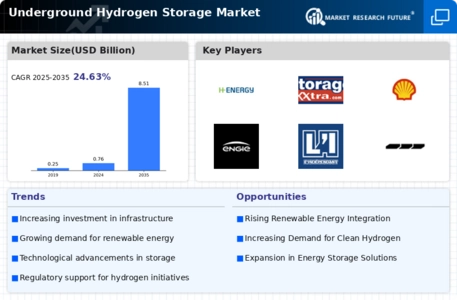 Underground Hydrogen Storage Market Infographic