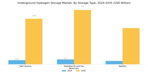 Underground Hydrogen Storage Market Segment Image 0