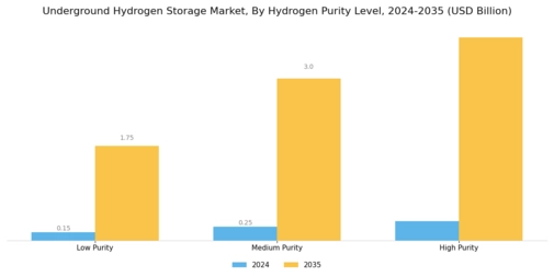 Underground Hydrogen Storage Market Segment Image 2
