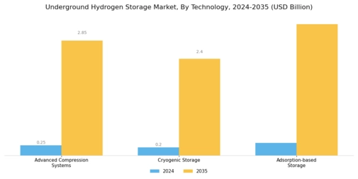 Underground Hydrogen Storage Market Segment Image 4