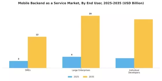 Mobile Backend Service Market Segment Image 1