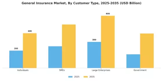 General Insurance Market Segment Image 2