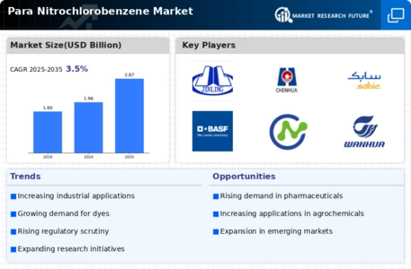 Para-Nitrochlorobenzene Market Infographic