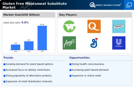 Gluten Free Meat Substitute Market Infographic