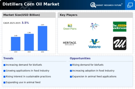 Distillers Corn Oil Market Infographic