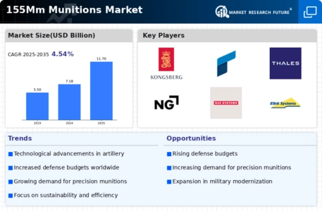155Mm Munitions Market Infographic