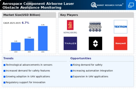 Aerospace Component Airborne Laser Obstacle Avoidance Monitoring System Market Infographic