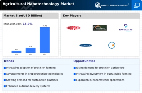 Agricultural Nanotechnology Market Infographic