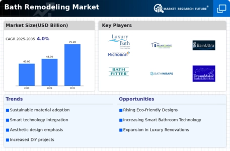 Bath Remodeling Market Infographic