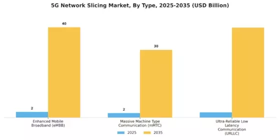5G Network Slicing Market Segment Image 0