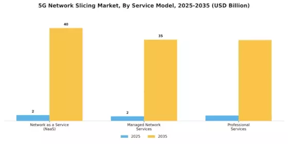 5G Network Slicing Market Segment Image 4