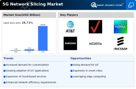 5G Network Slicing Market
 Infographic