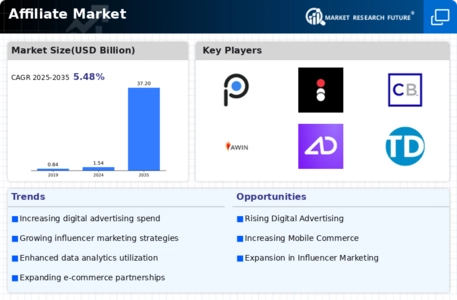 Affiliate Market Infographic