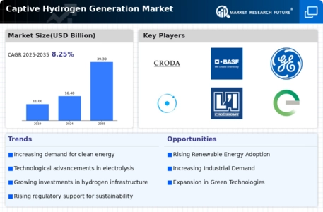 Captive Hydrogen Generation Market Infographic