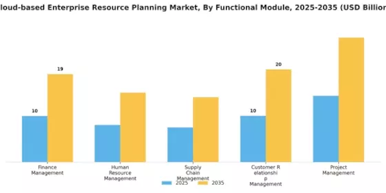 Cloud-Based Enterprise Resource Planning Market Segment Image 3