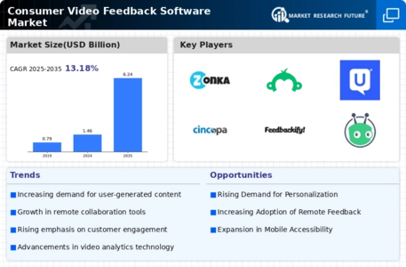 Consumer Video Feedback Software Market Infographic