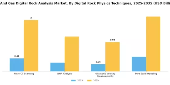 Oil Gas Digital Rock Analysis Market Segment Image 0