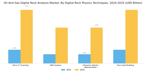 Oil Gas Digital Rock Analysis Market Segment Image 0
