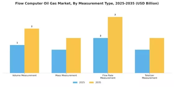Flow Computer Oil Gas Market Segment Image 2
