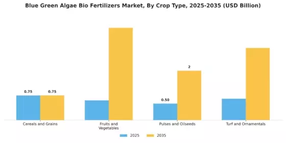 Blue Green Algae Bio Fertilizers Market  Segment Image 2