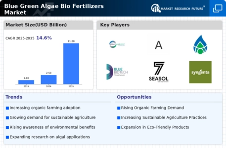 Blue Green Algae Bio Fertilizers Market  Infographic