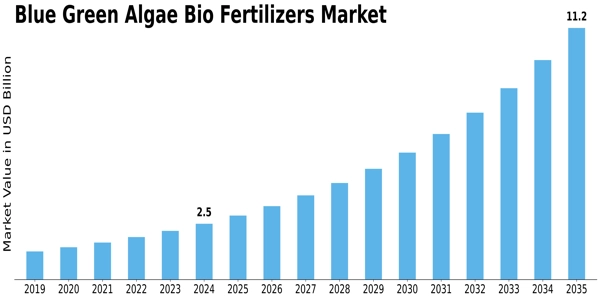Blue Green Algae Bio Fertilizers Market  Size