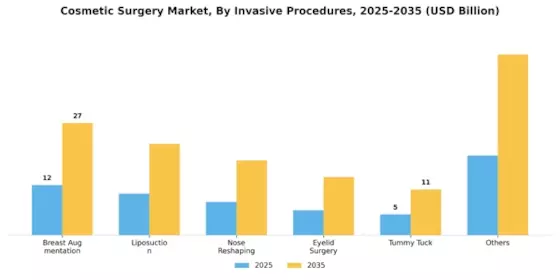 Cosmetic Surgery Market Segment Image 1