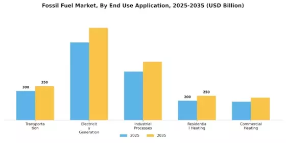 Fossil Fuel Market Segment Image 2