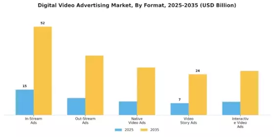 Digital Video Advertising Market Segment Image 0